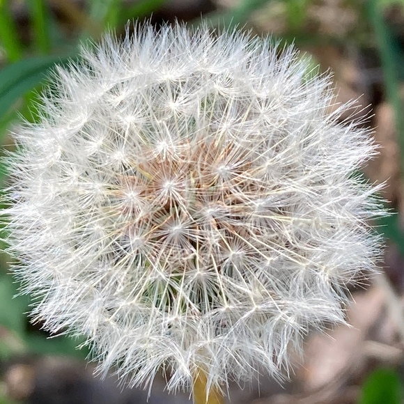 Meet your Posher, Lee - Picture 1 of 1